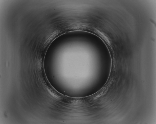 X0000097590105200803071330