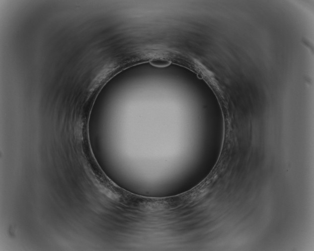 X0000097590106200803071330