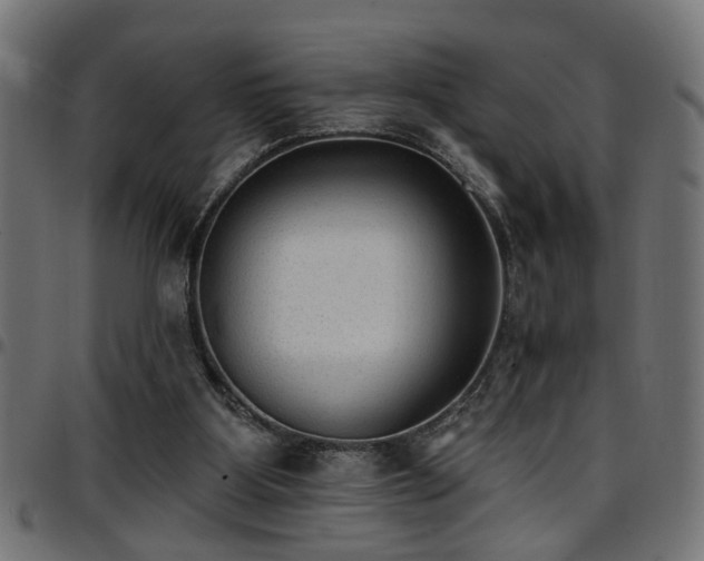 X0000097590107200803071330