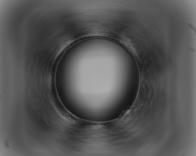 X0000097590108200803071330