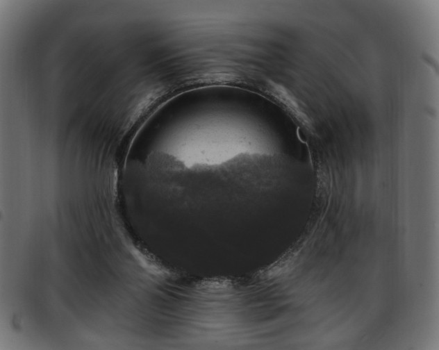 X0000097590110200803071330