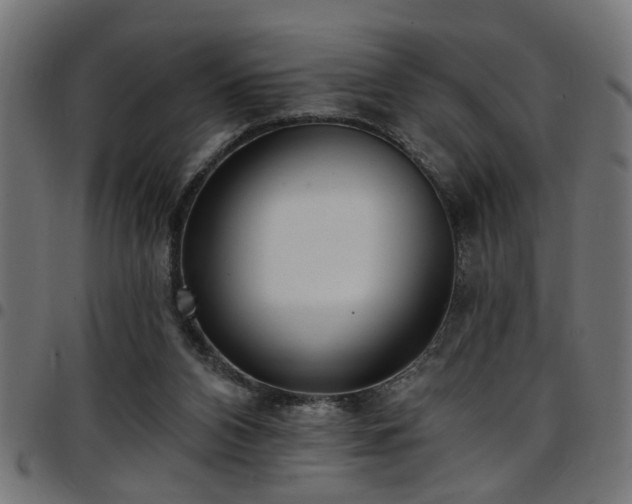 X0000097590112200803071330