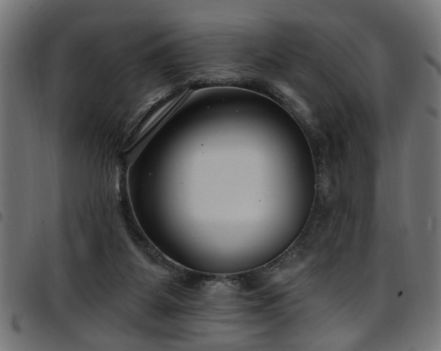 X0000097590115200803071330