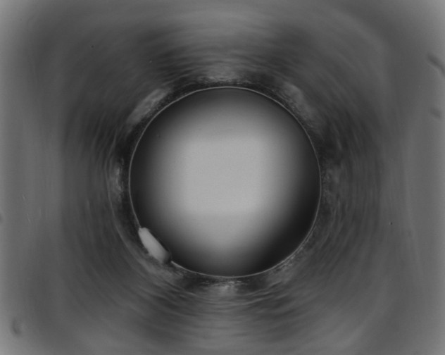 X0000097590116200803071330