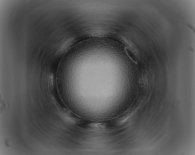 X0000097590117200803071330