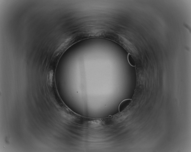 X0000097590118200803071329