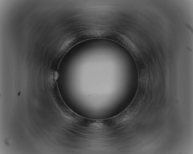 X0000097590119200803071329