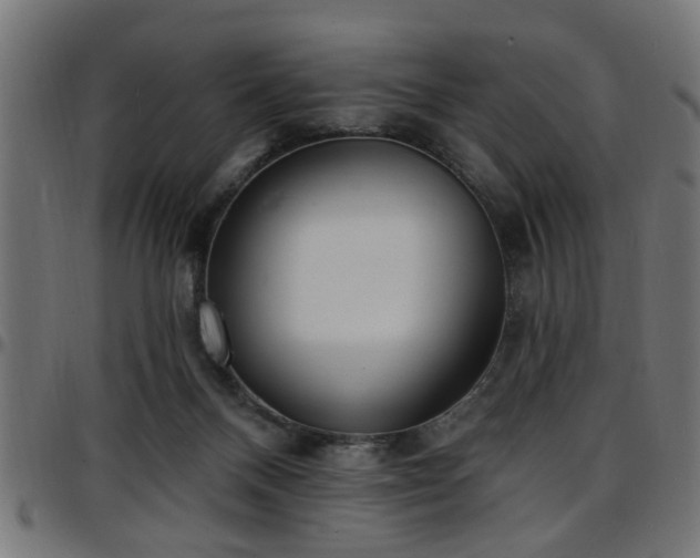 X0000097590120200803071329