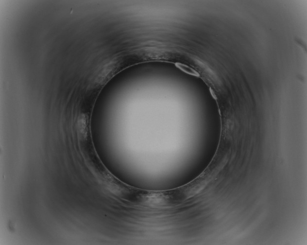 X0000097590121200803071329