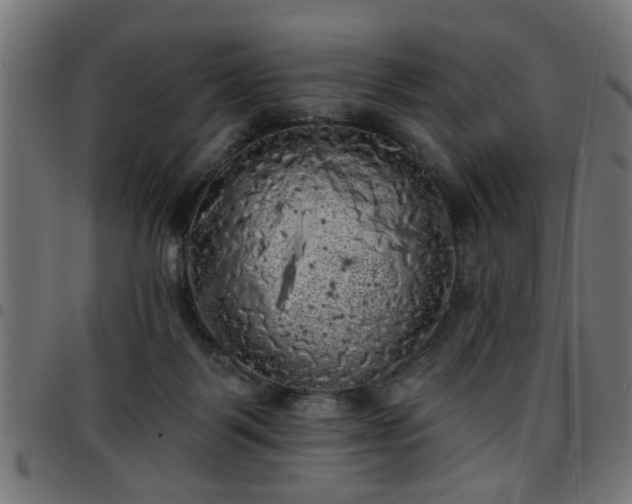 X0000097590123200803071329