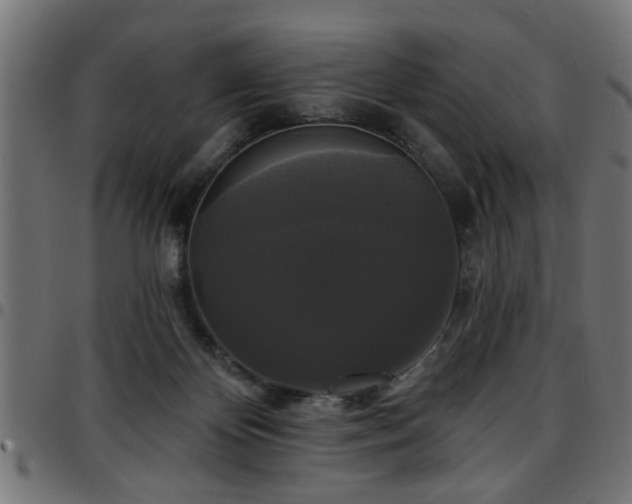 X0000097590124200803071329