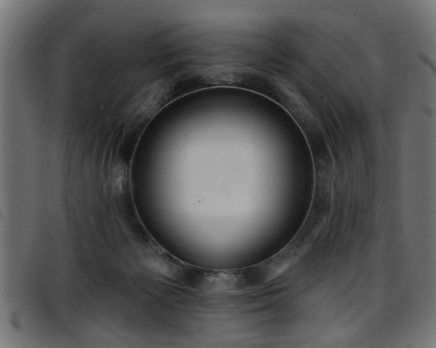 X0000097590125200803071329