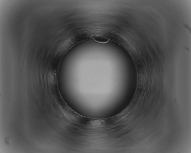 X0000097590126200803071329