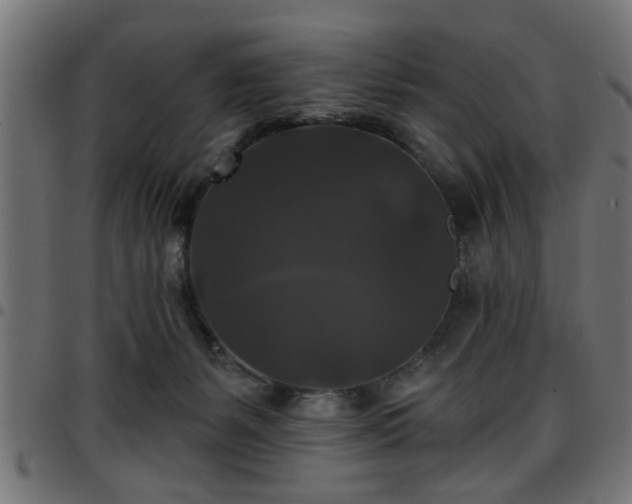 X0000097590127200803071329