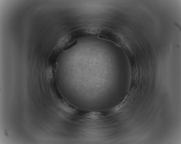 X0000097590128200803071329