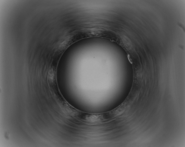 X0000097590129200803071329