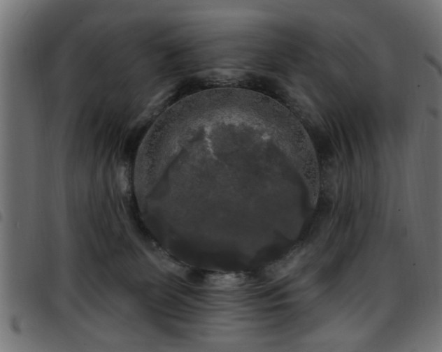 X0000097590131200803071329