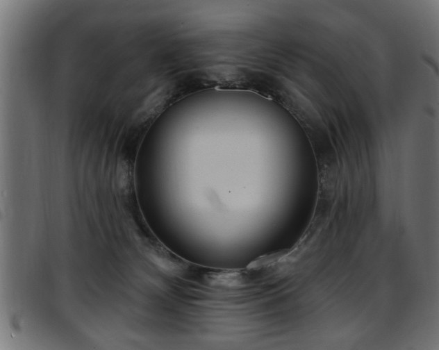 X0000097590132200803071329