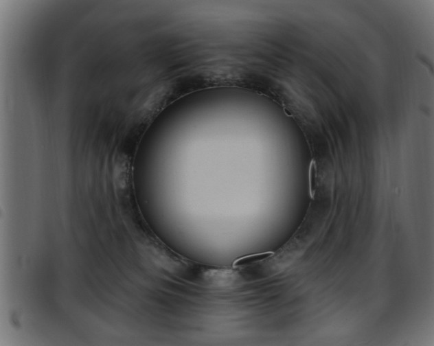 X0000097590133200803071329