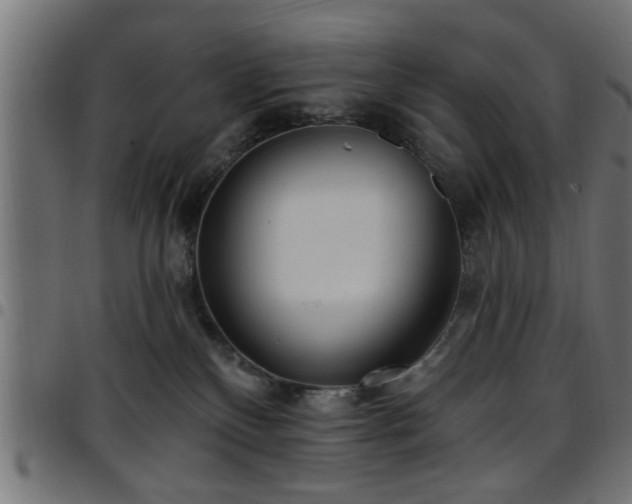 X0000097590136200803071329