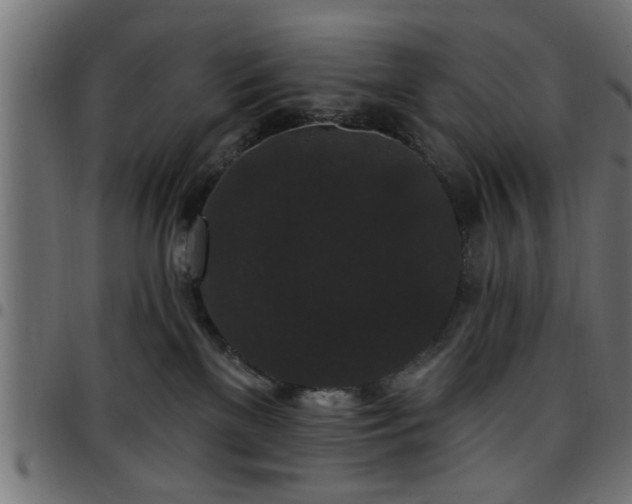 X0000097590137200803071329