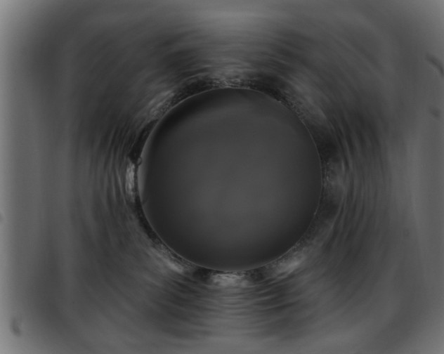 X0000097590139200803071329