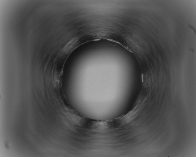 X0000097590140200803071329