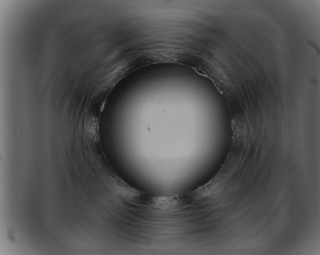 X0000097590141200803071329