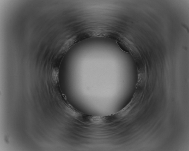 X0000097590142200803071329