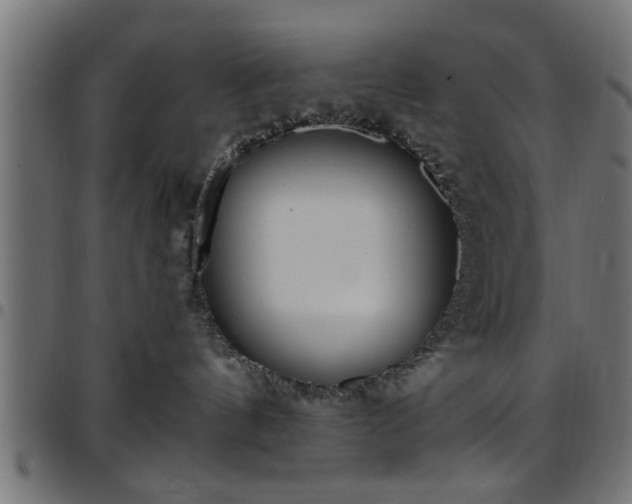 X0000097590144200803071329