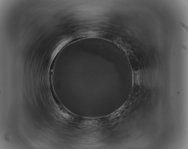 X0000097590147200803071328