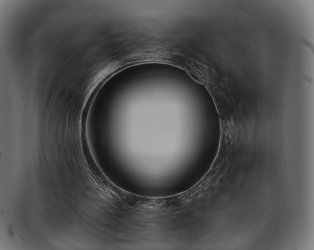 X0000097590148200803071328