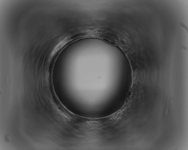 X0000097590150200803071328