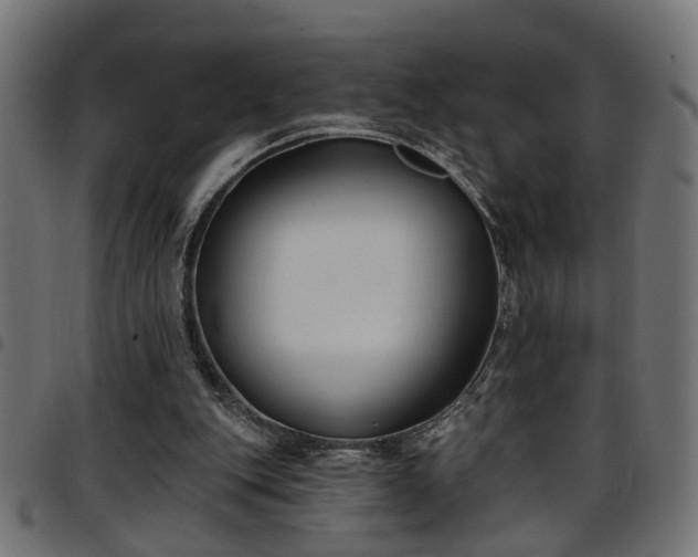 X0000097590151200803071328