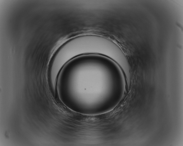 X0000097590152200803071328