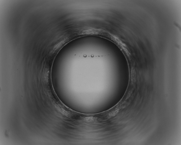 X0000097590153200803071328