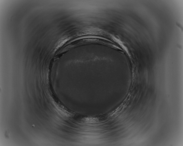 X0000097590154200803071328