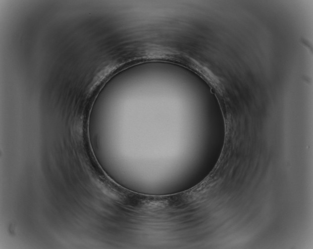 X0000097590155200803071328