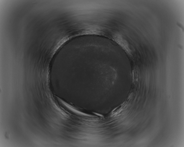 X0000097590156200803071328