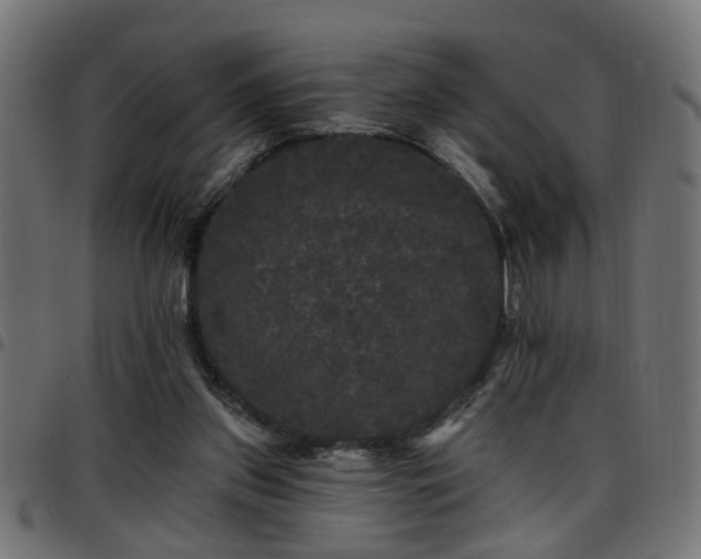 X0000097590157200803071328