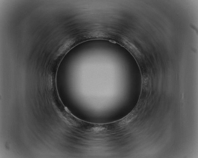 X0000097590158200803071328