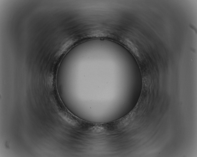 X0000097590159200803071328