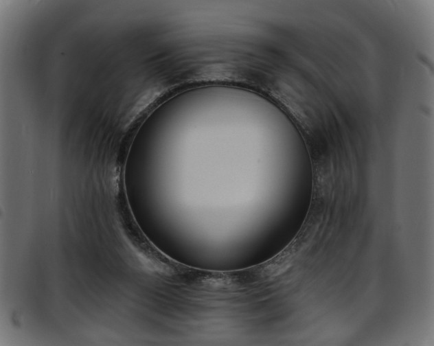 X0000097590160200803071329