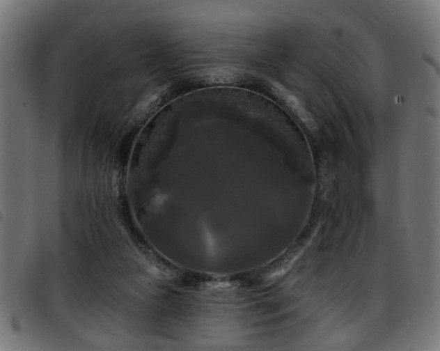 X0000097590161200803071329