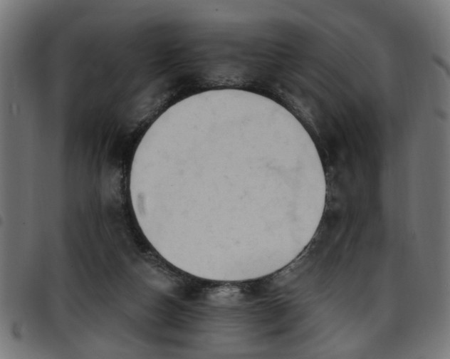 X0000097590162200803071329