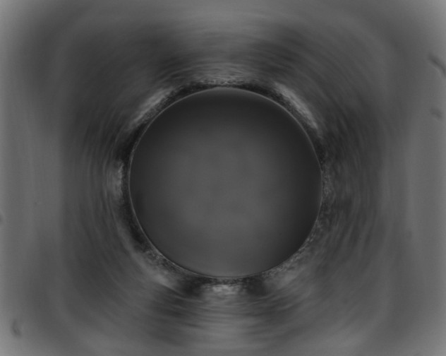 X0000097590163200803071329