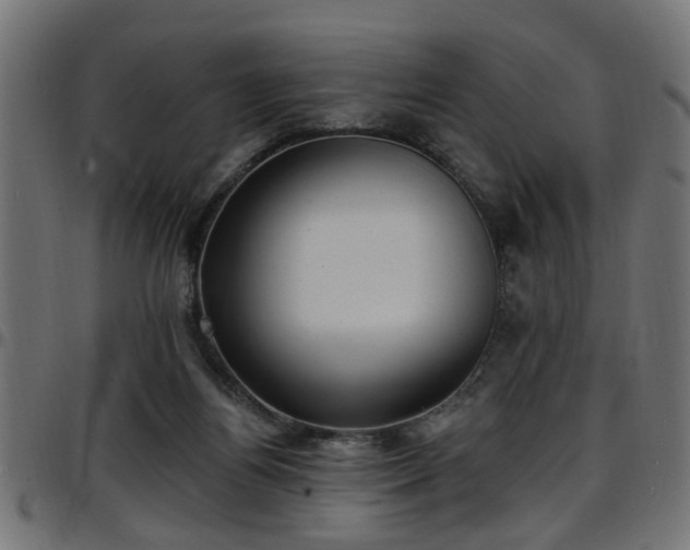 X0000097590164200803071329