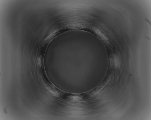 X0000097590165200803071329