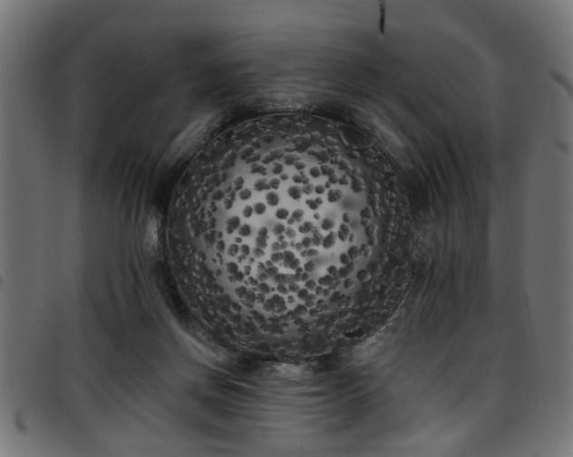 X0000097590166200803071329