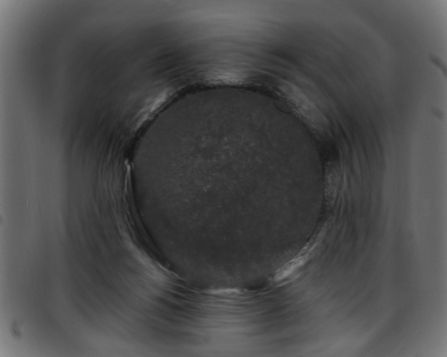 X0000097590168200803071329